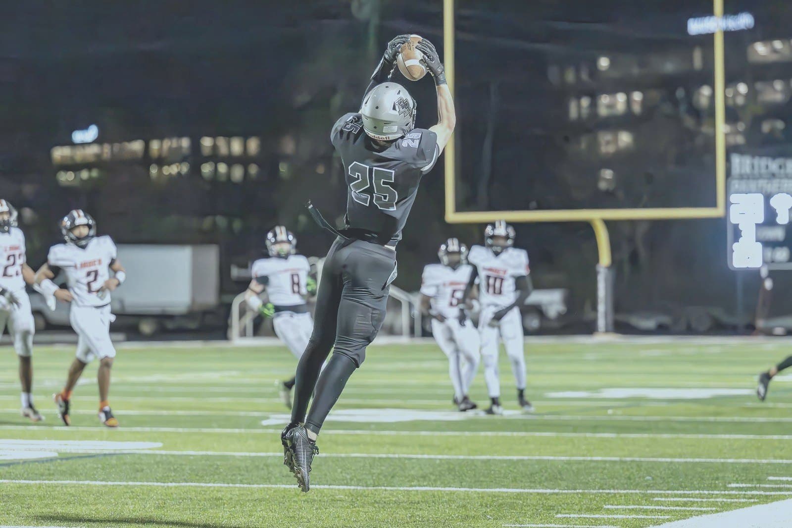 Panthers receiver makes an aerial catch at night