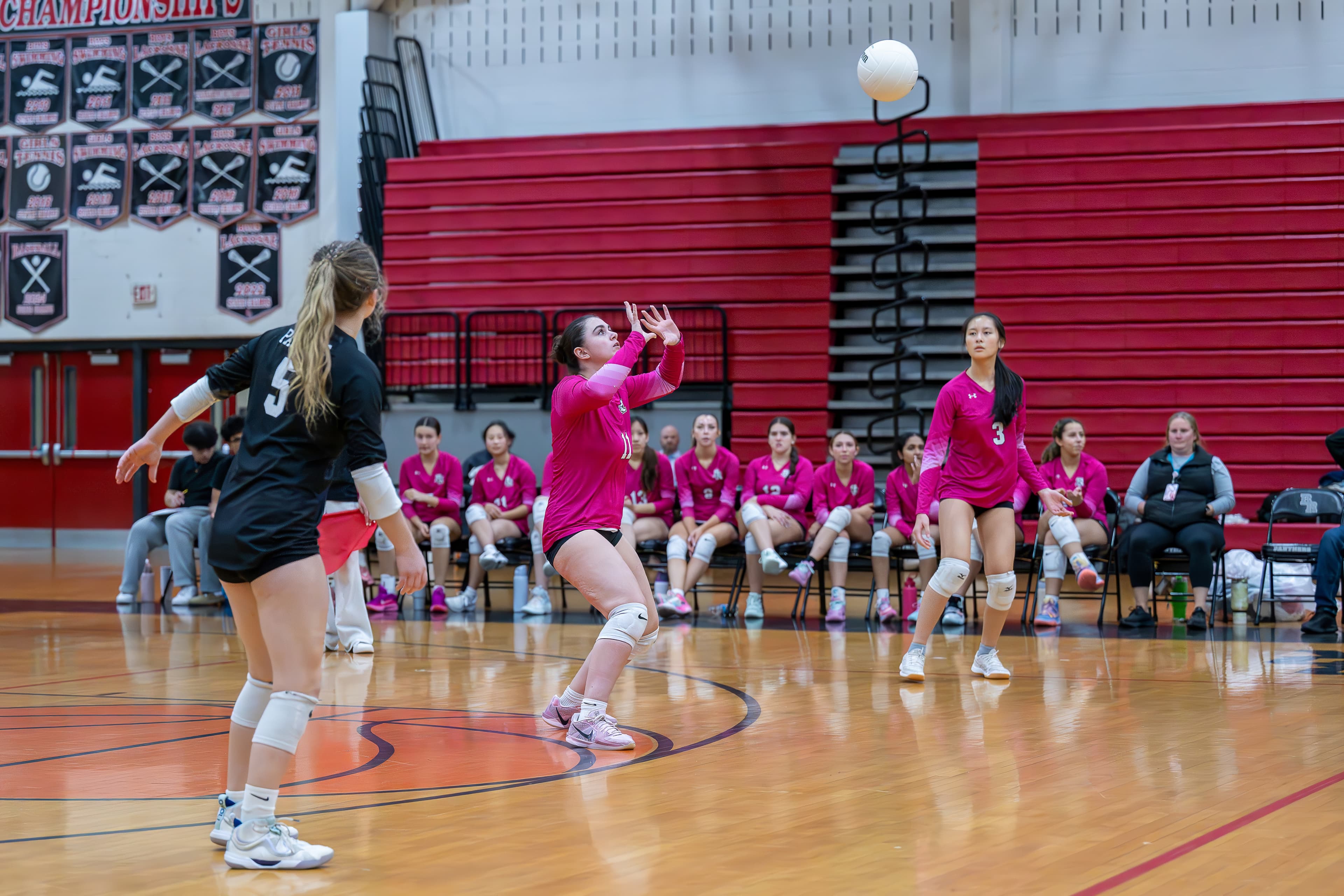 Setter delivers a perfect set at the net